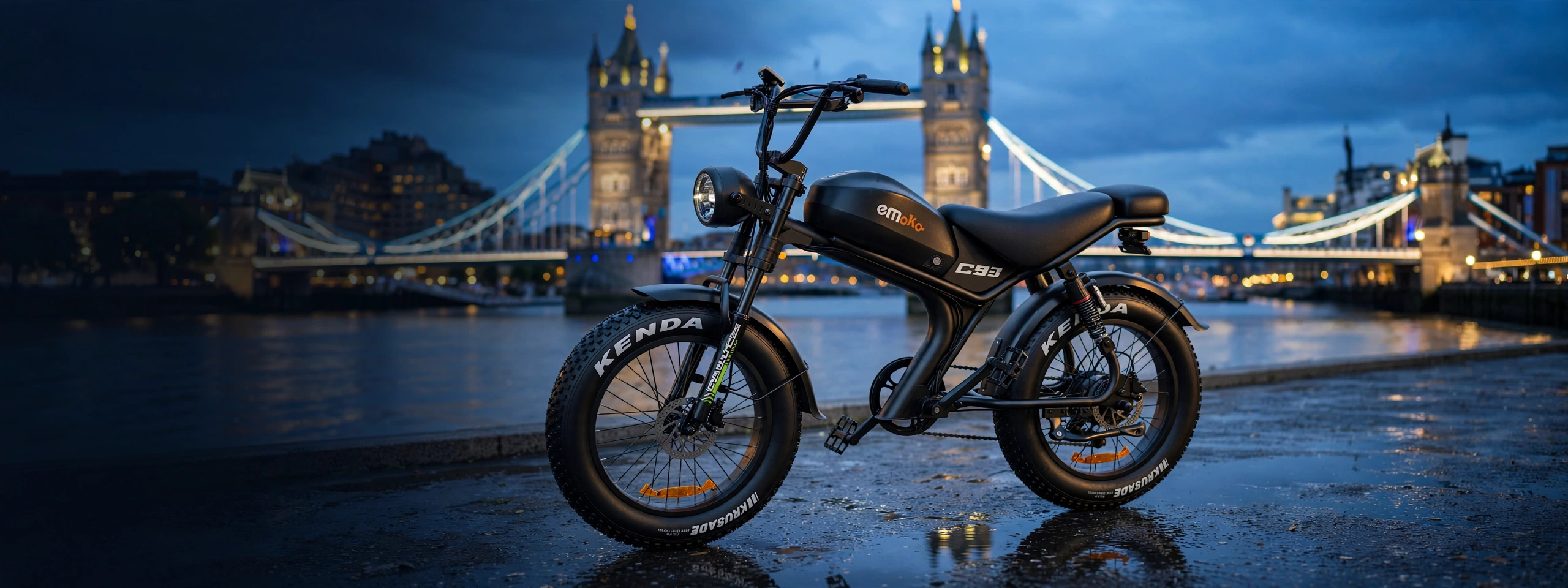 Electric Bikes